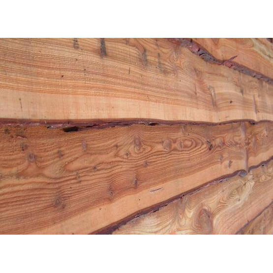 Waney Edge Larch (Untreated)