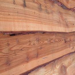 Waney Edge Larch (Untreated)