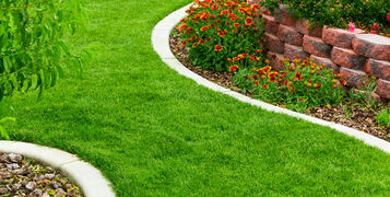 Garden,With,Green,Grass,And,Flowers