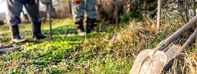 Men,People,With,Measuring,Tape,Working,On,Vegetable,Winter,Garden